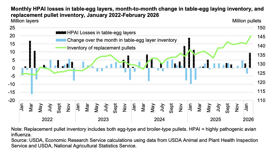 FarmPolicy's tweet image. In January, 2.8 million commercial table #egg layers were lost to highly pathogenic #avian #influenza (HPAI). In February, an additional 9.5 million commercial table-egg layers were lost to HPAI, primarily in Pennsylvania.

From the @USDAForeignAg:  tinyurl.com/58myw9se