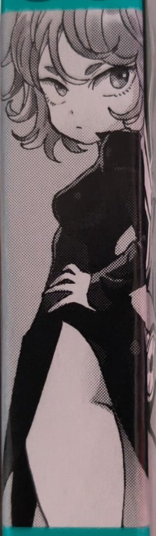 Central One-Punch Man Brasil tweet media