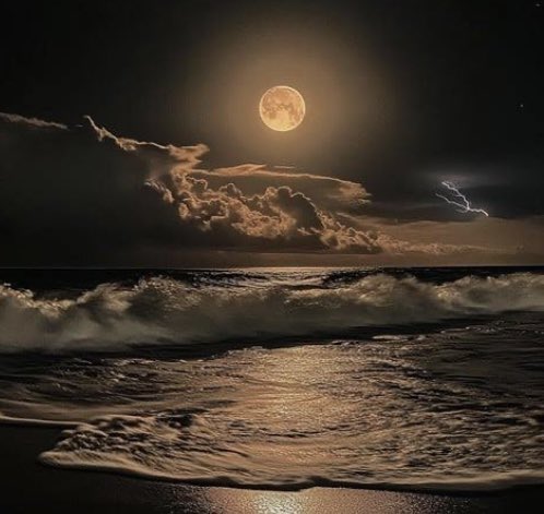 You Rock tweet media