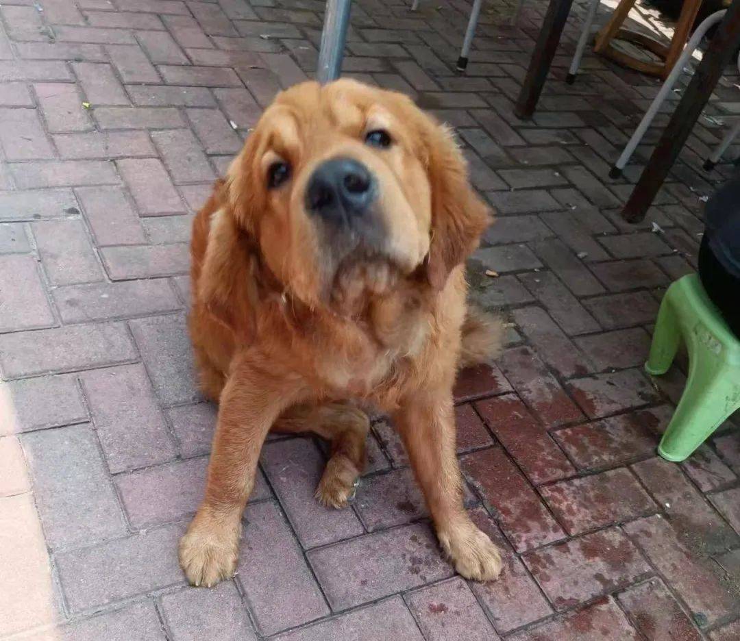 ilobehector tweet media