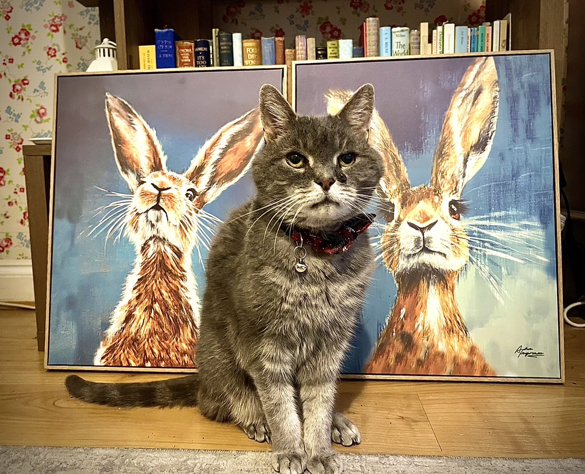 Malcolm & Baby Dog tweet media