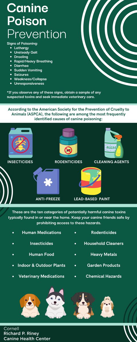 Cornell Riney Canine Health Center tweet media