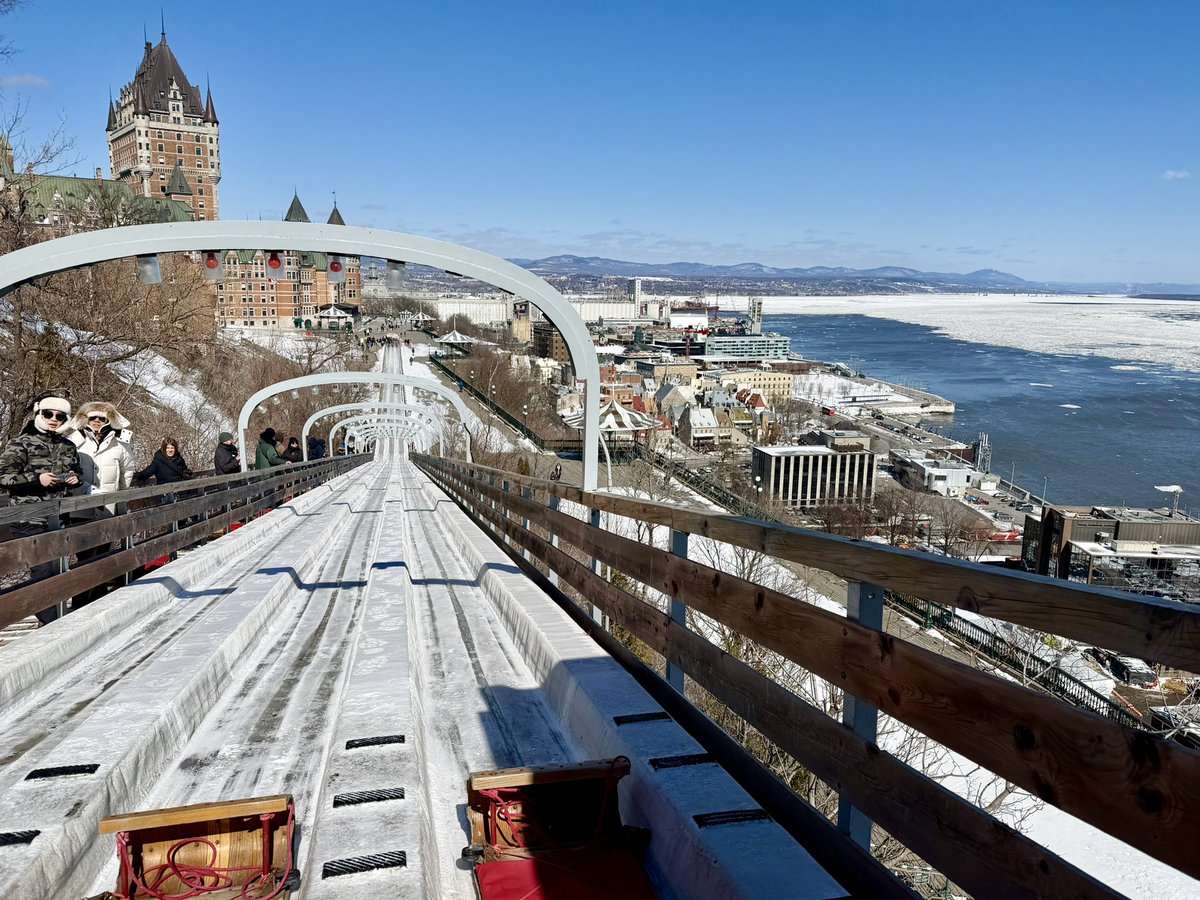 Maddie Lee, PhD tweet media