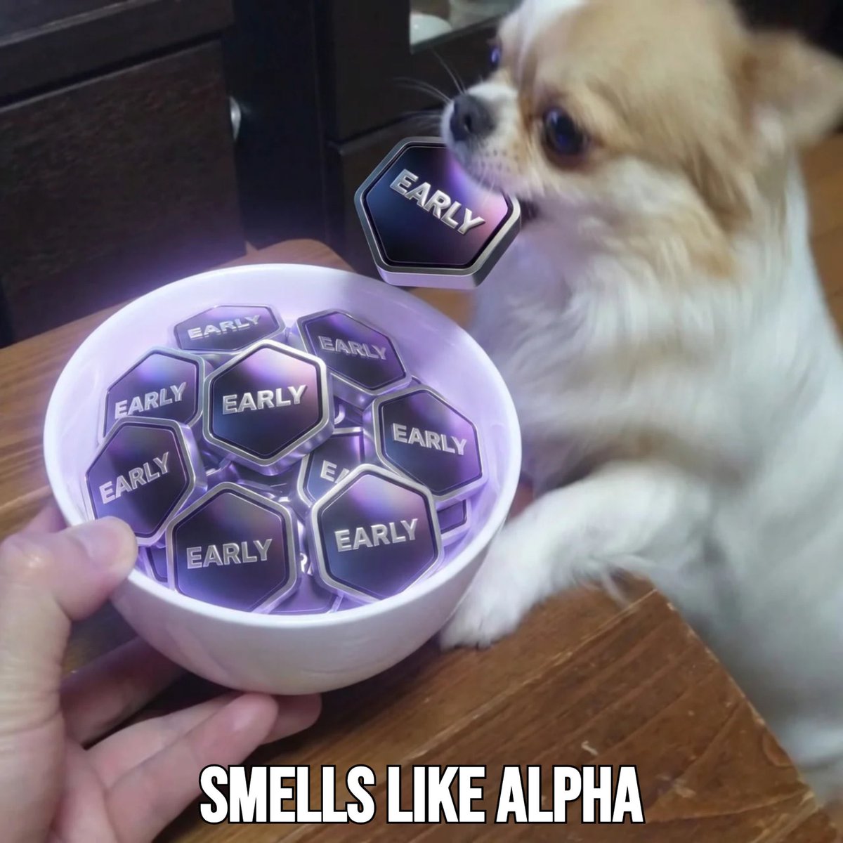 King Dav💪 tweet media