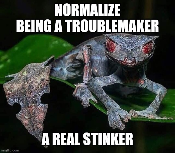 Geckos Daily🦎 tweet media