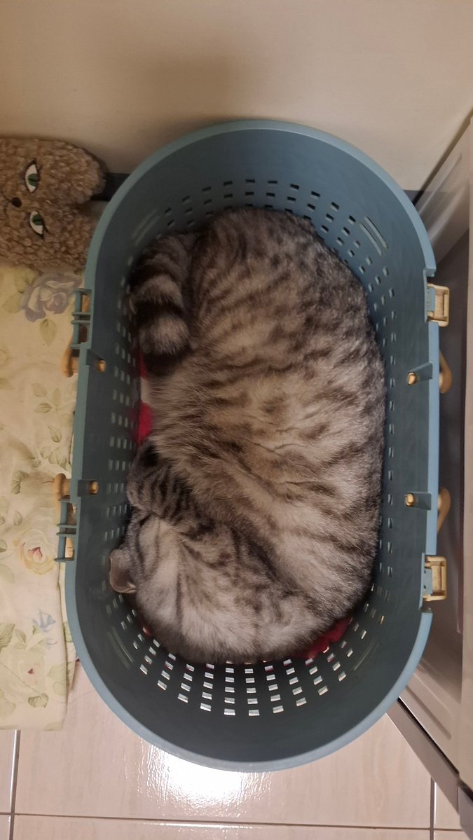 WhiteBWX tweet media