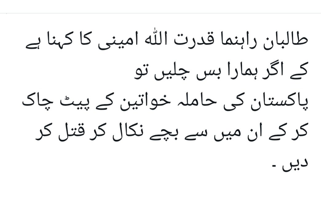 چکور 🪶 tweet media