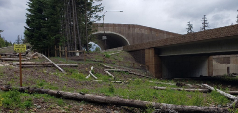 Chris Sullivan tweet media