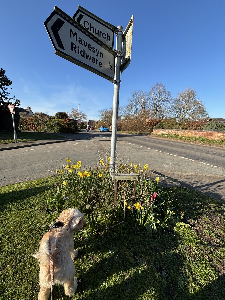 Fifimary's tweet photo. @rickygervais saw this on my walk today - how lovely #afterlife #britishcountryside #theridwares 🥰 https://t.co/iL0TNlY2Or