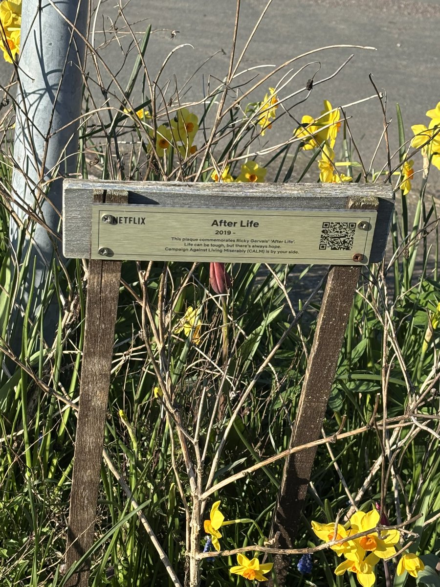 Fifimary's tweet photo. @rickygervais saw this on my walk today - how lovely #afterlife #britishcountryside #theridwares 🥰 https://t.co/iL0TNlY2Or