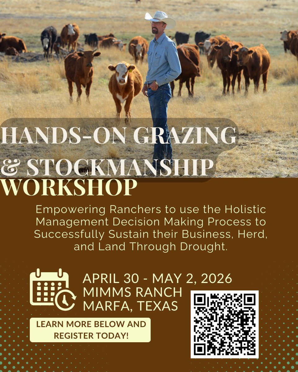 Holistic Mgmt. Int'l tweet media