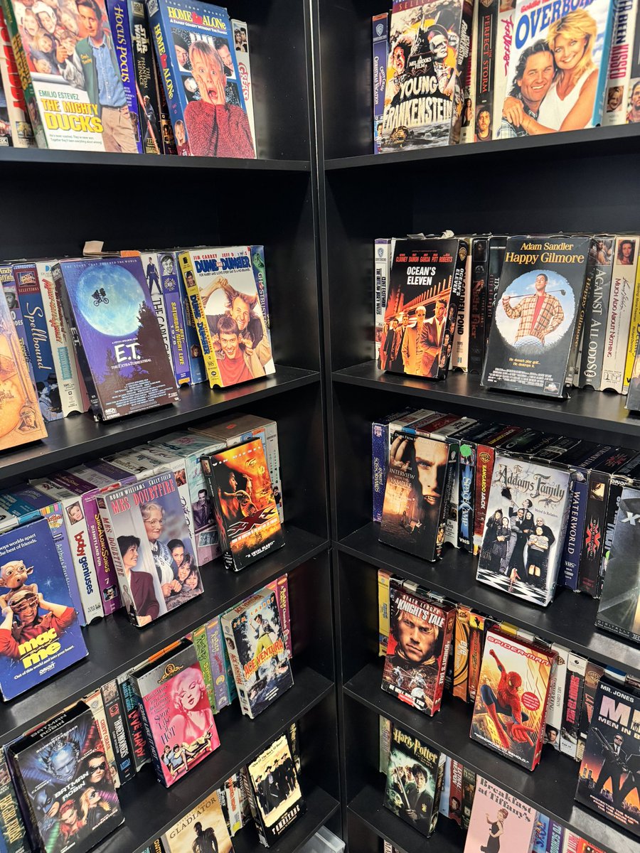 FlashForce⚡️ tweet media