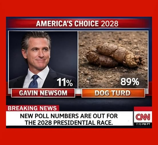 MAGA Puppy tweet media