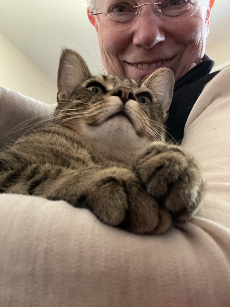 Nina Paley tweet media