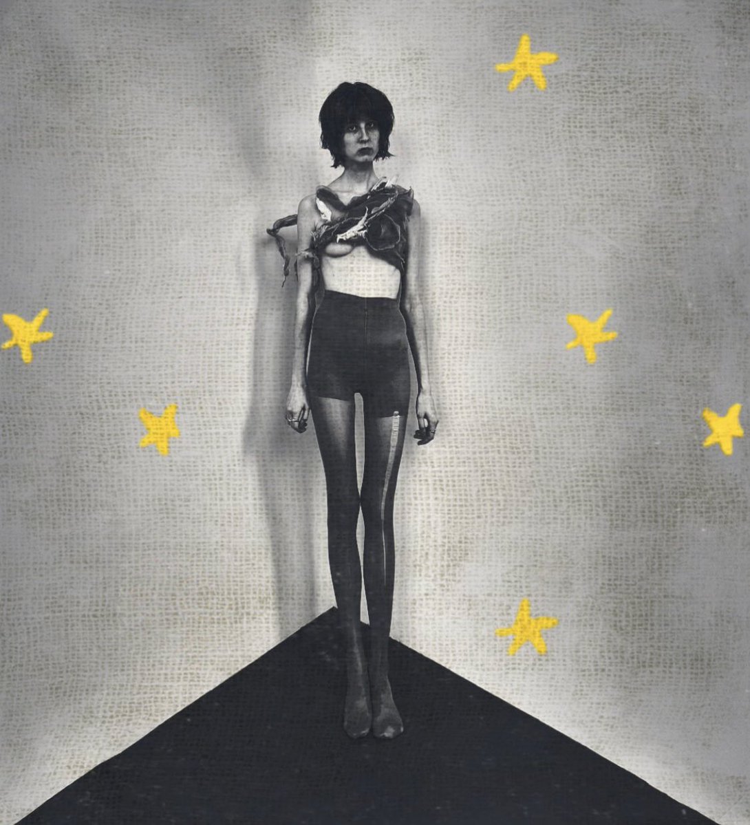 перегрин пук tweet media