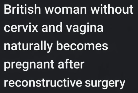 real subtle tweet media