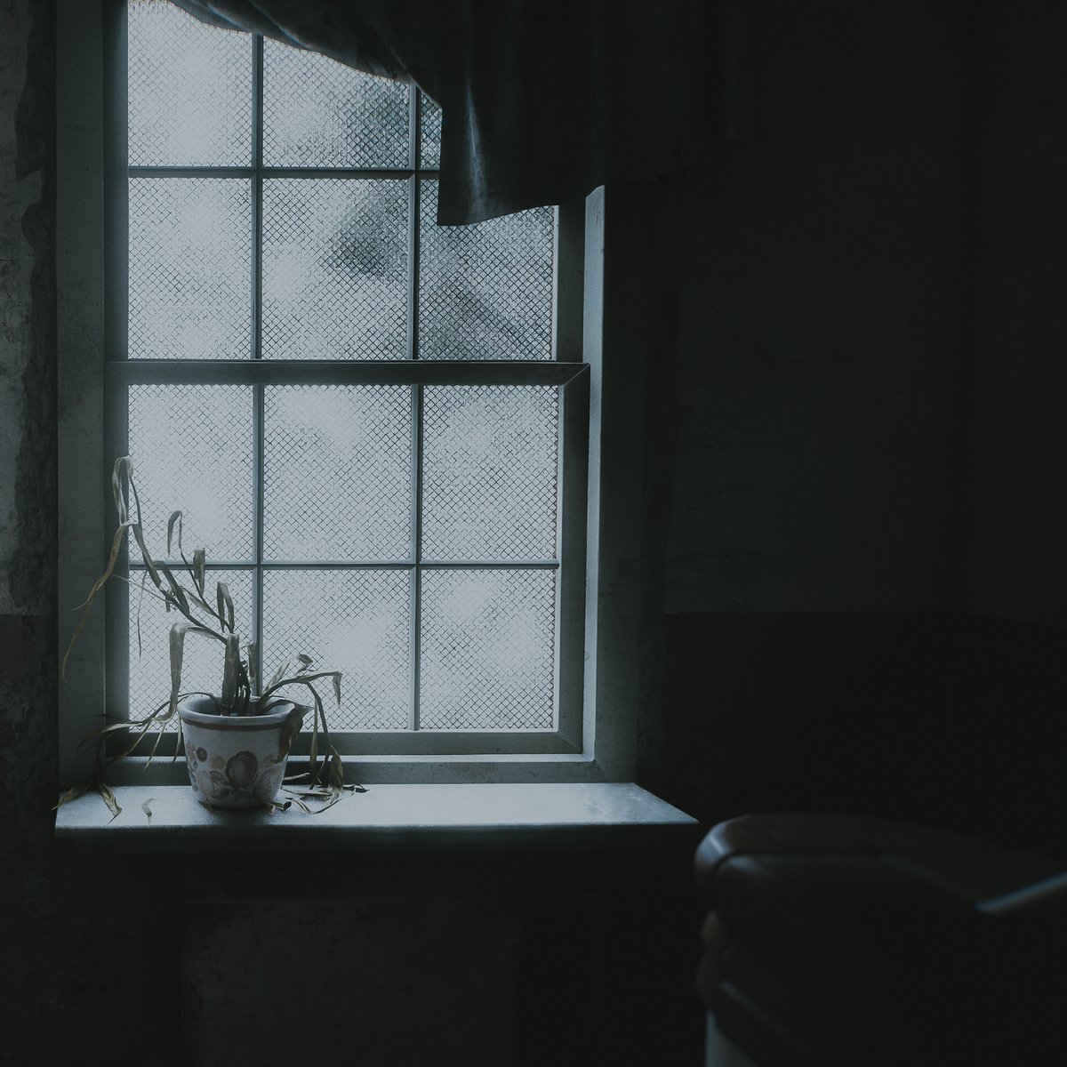 𝗘𝘃𝗲𝘆 tweet media