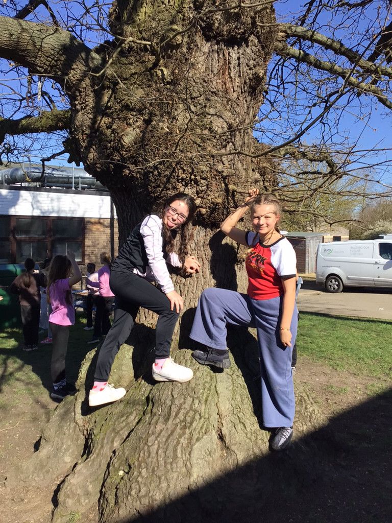 Stanground St John's CofE Primary School tweet media