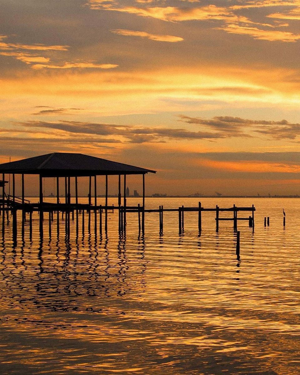 Visit Mobile 🌺 tweet media