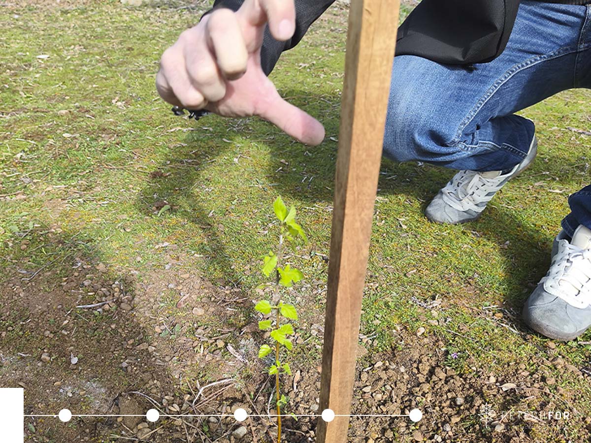 RetechFOR tweet media