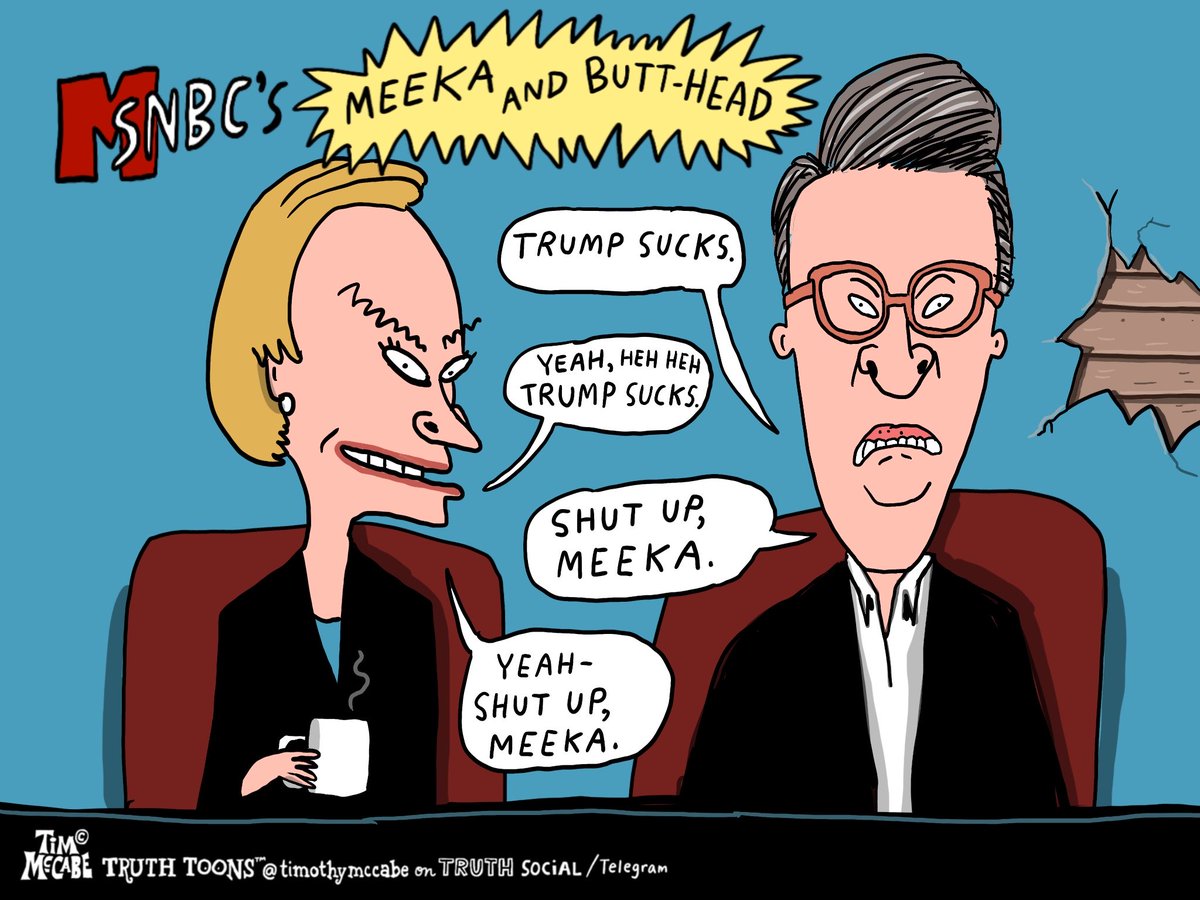 Truth Toons ™️ 🇺🇸 tweet media