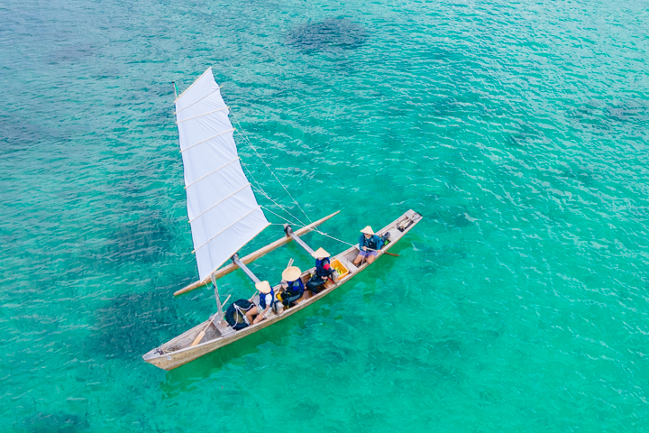 ユクサ・ターヤ@本当の国益を考える tweet media