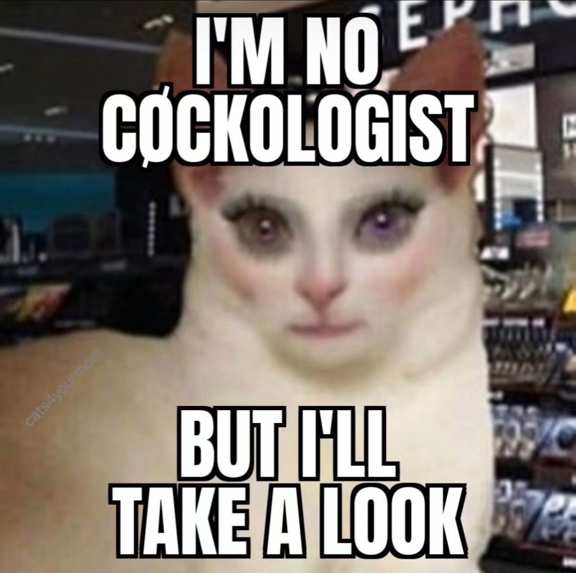 EszterIsPunk tweet media