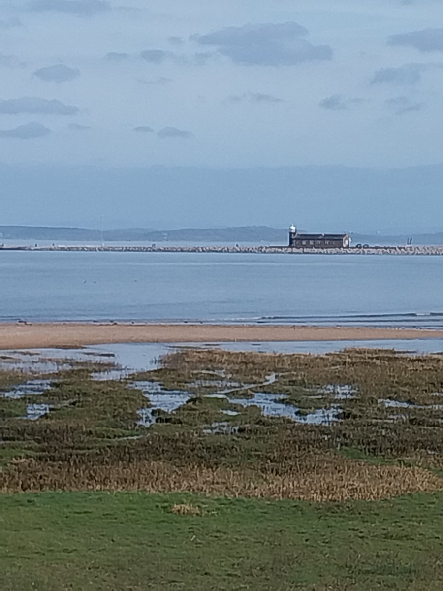 Madcrazycowboy tweet media