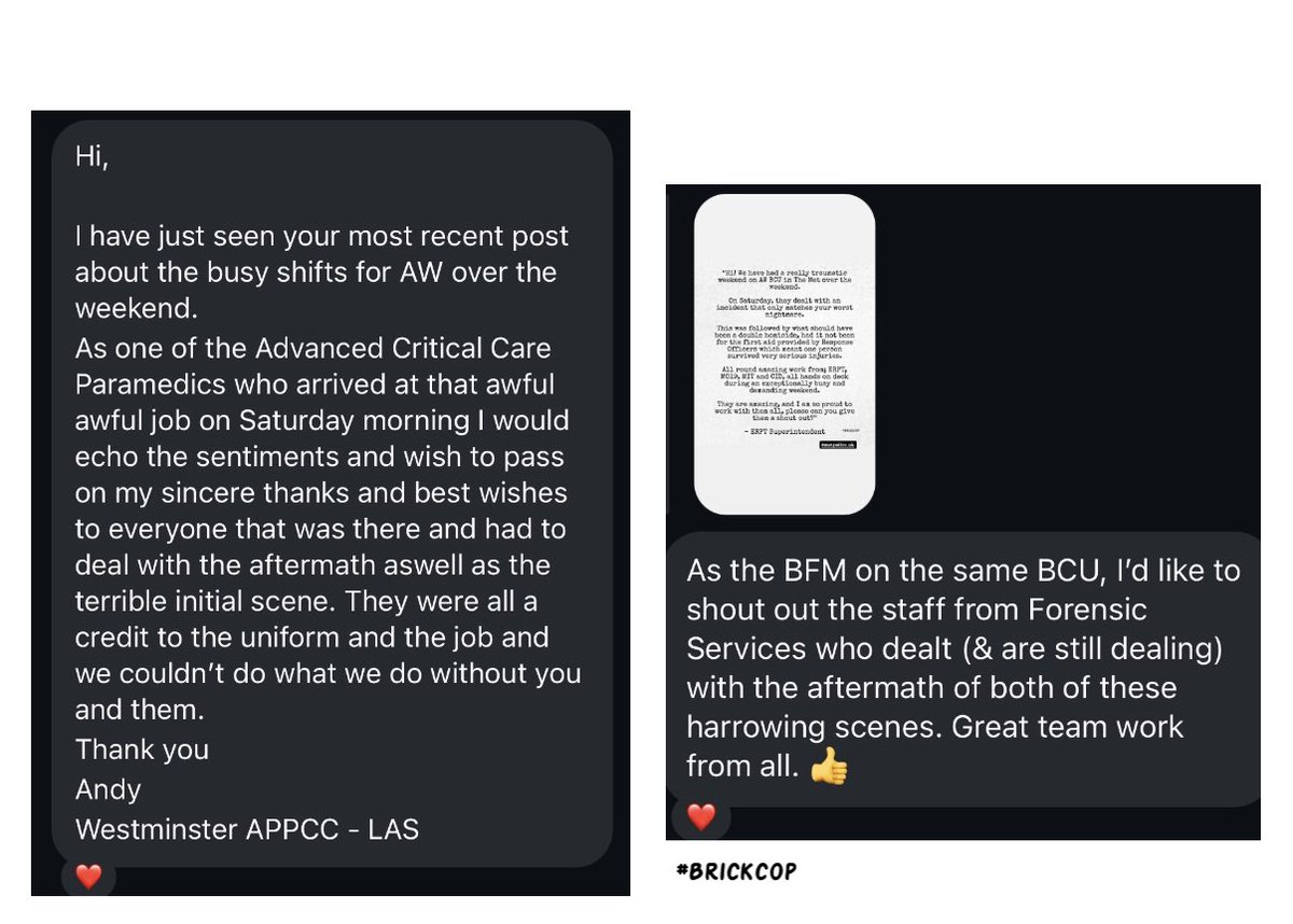 Brick Cop©️ tweet media