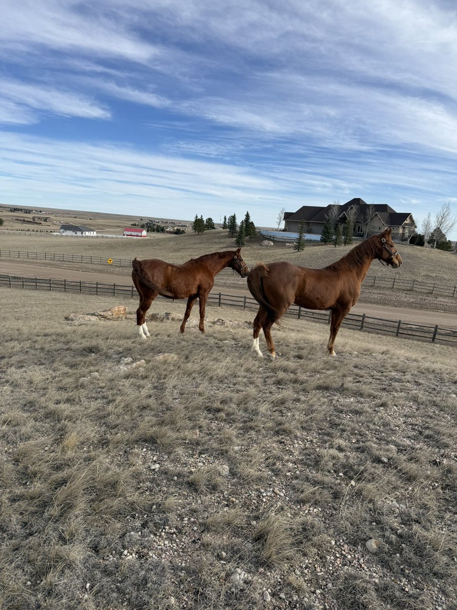 David Pope tweet media