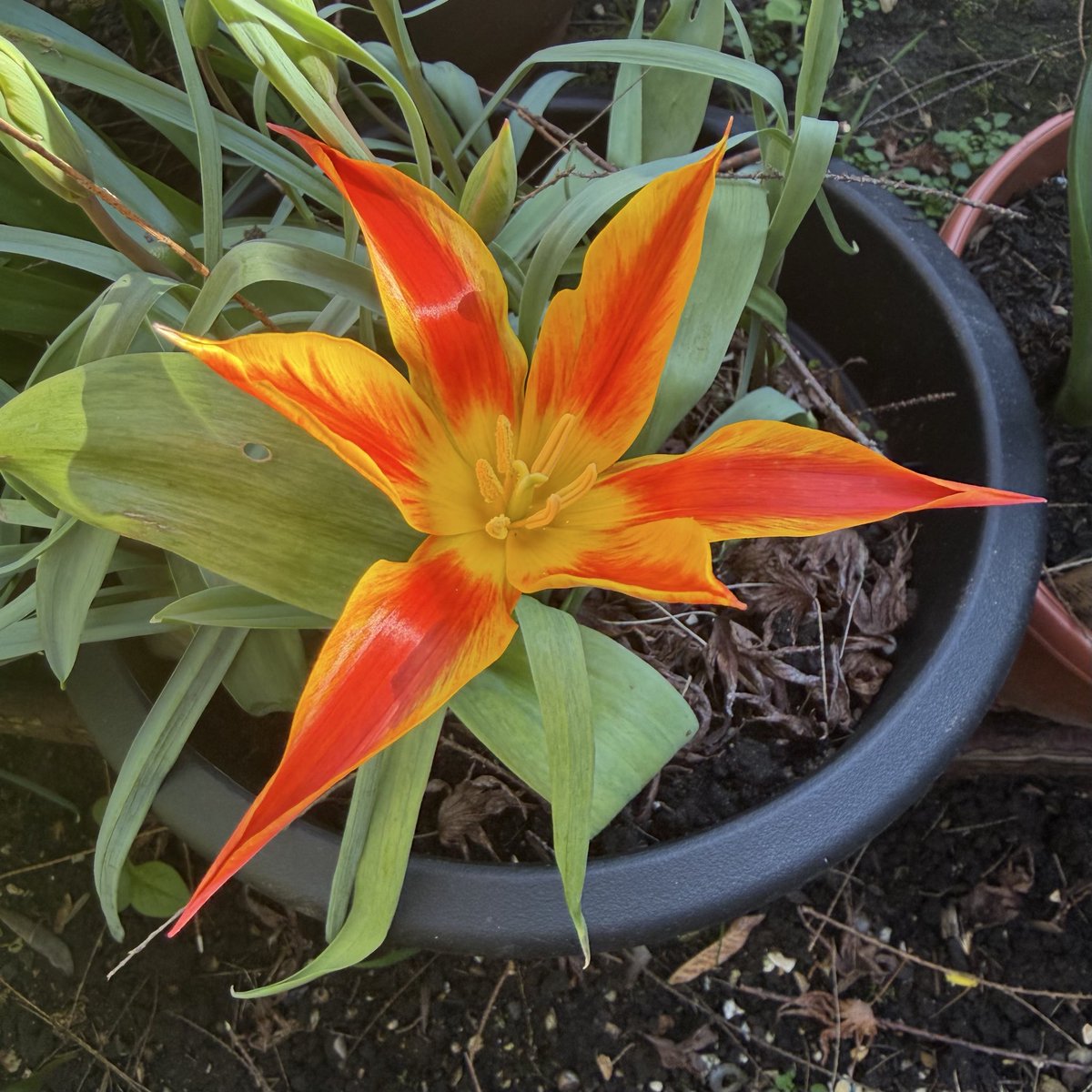 Kev Wood tweet media