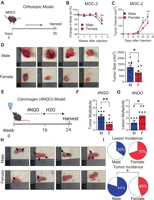 Pelotonia Institute for Immuno-Oncology tweet media