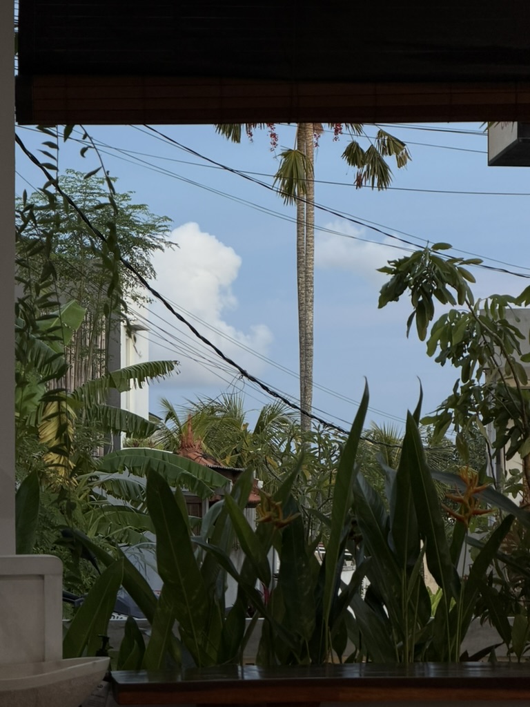 Amine | Halal DTC Emails tweet media