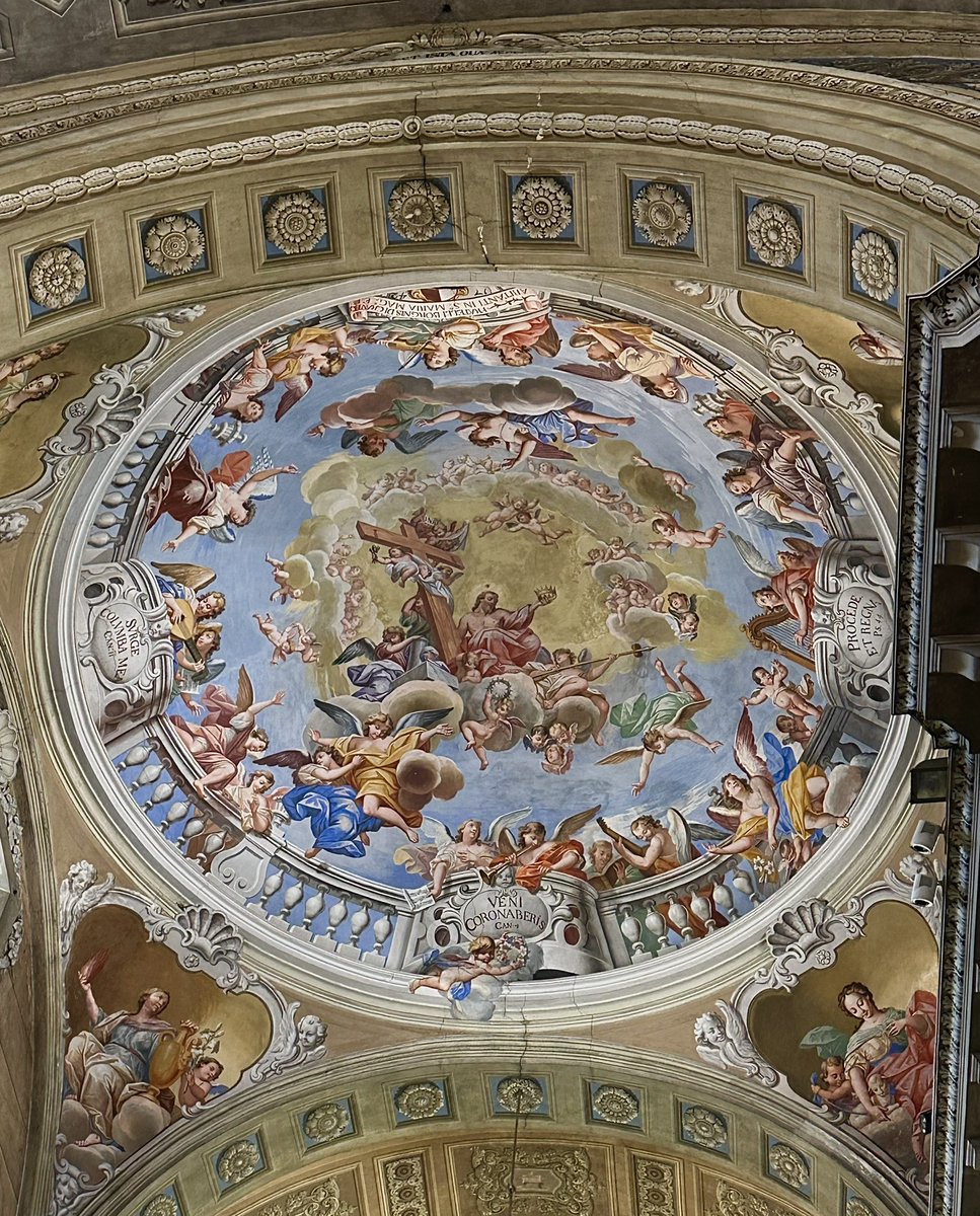 Markus Antonietti tweet media