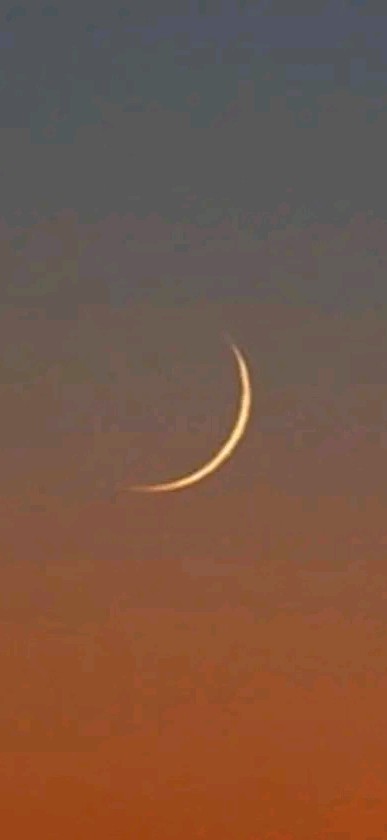 Sheikh saira sahiba tweet media