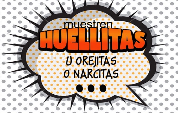 Banda VIP tweet media