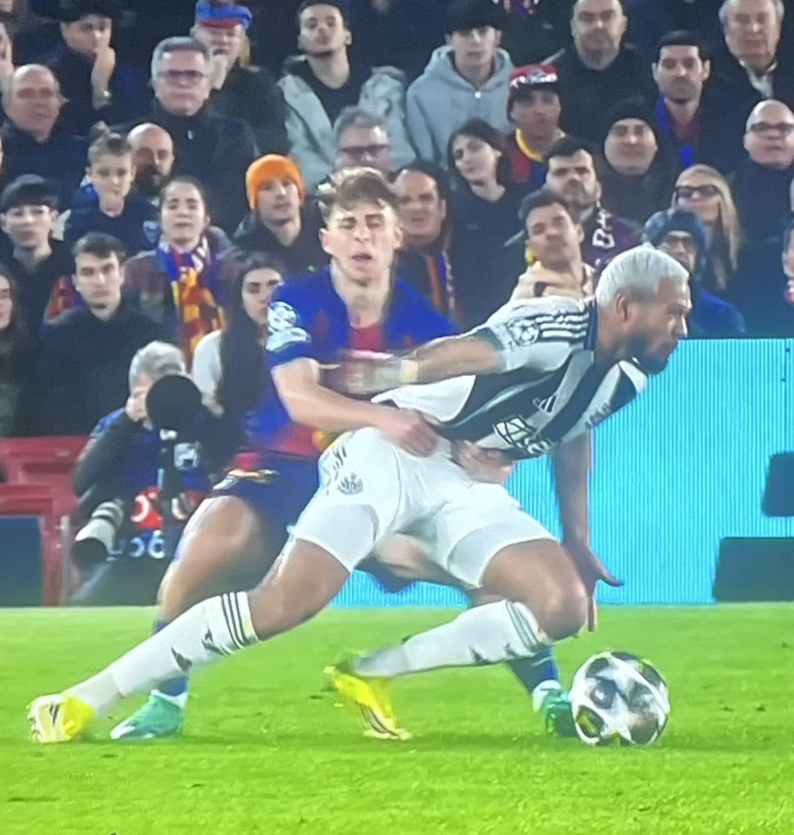 Olly Hawkins tweet media