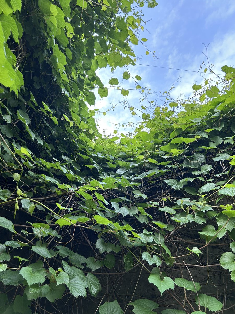 а я отаке! ☺️