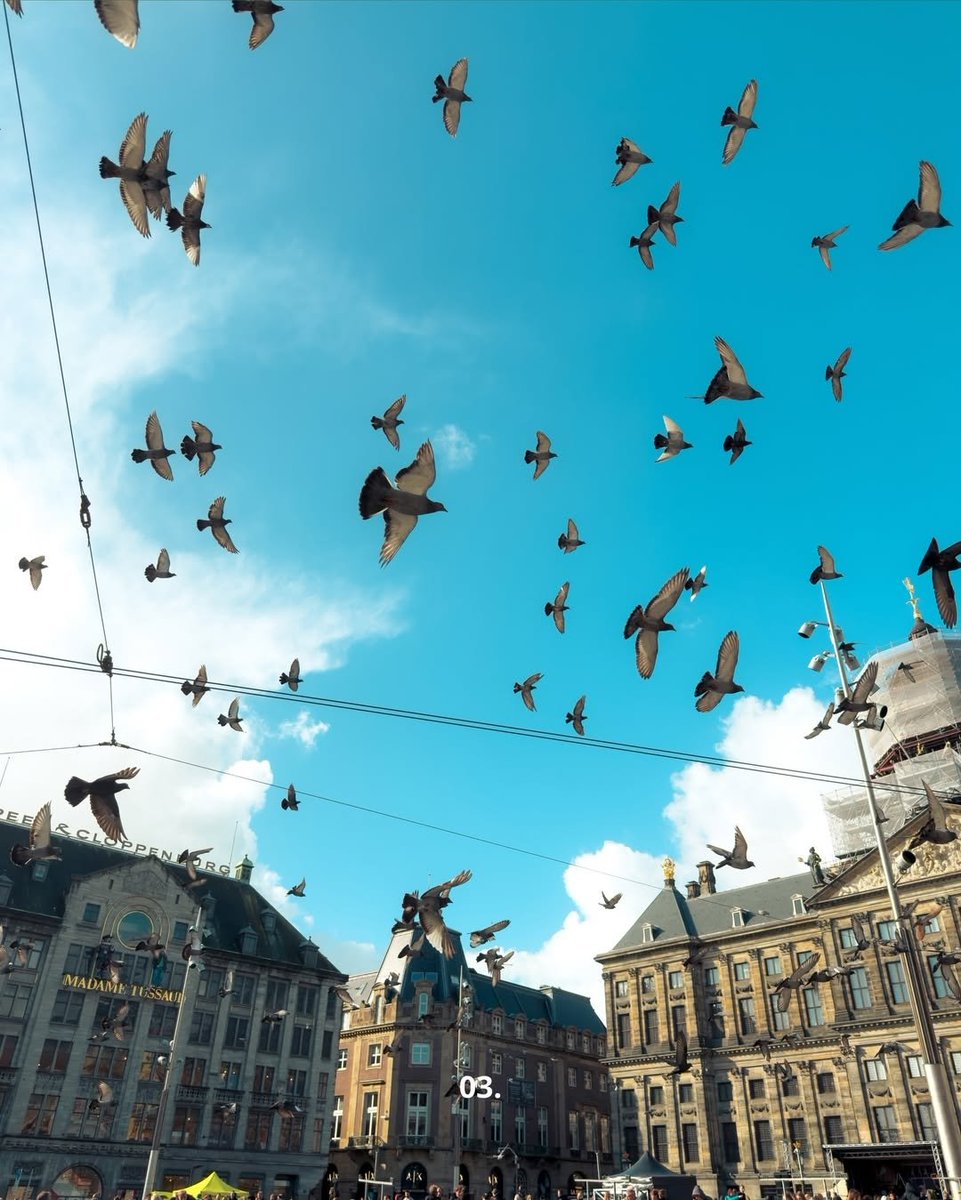 shot on iphone  tweet media