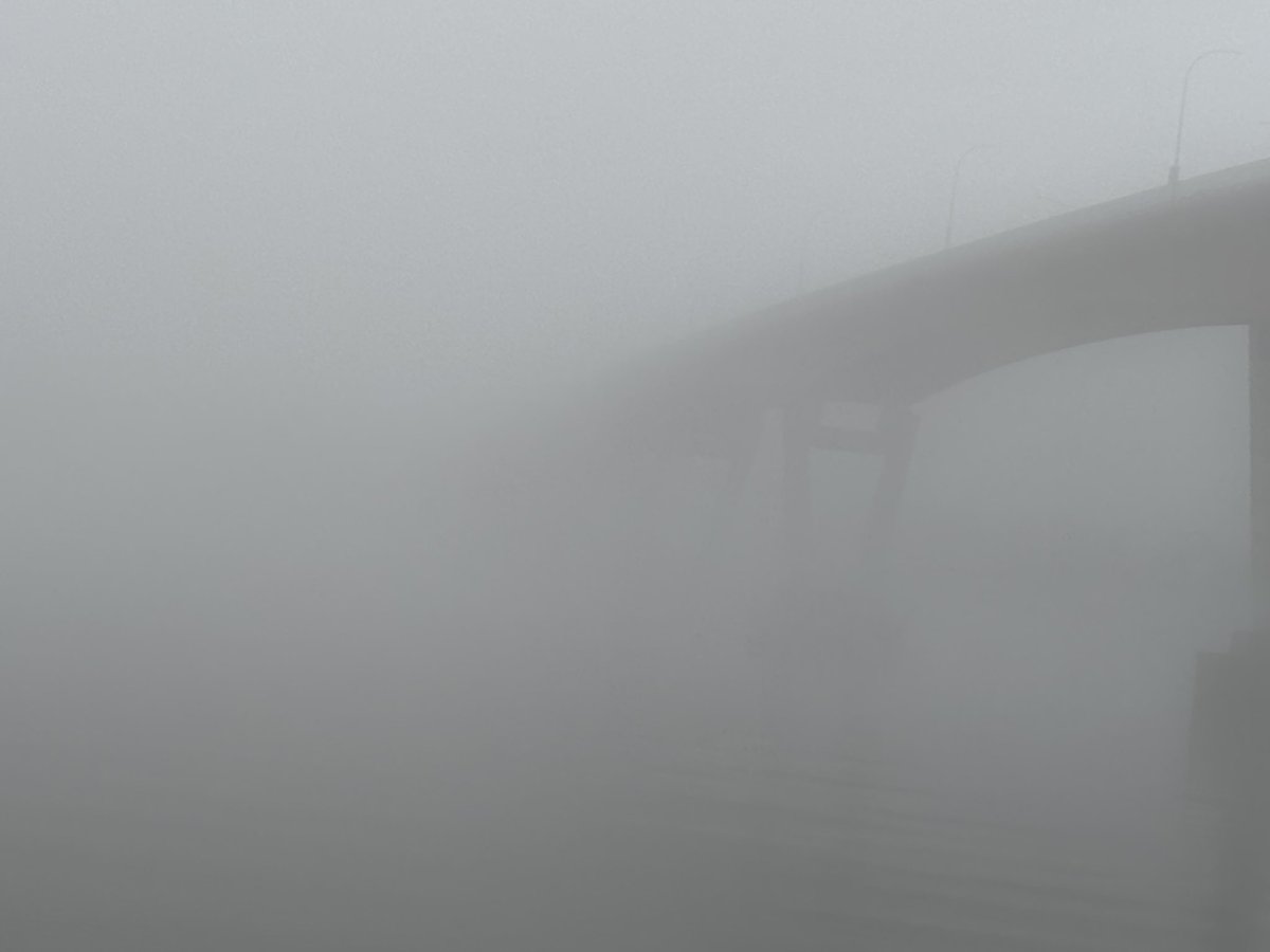 marilyn boyce tweet media