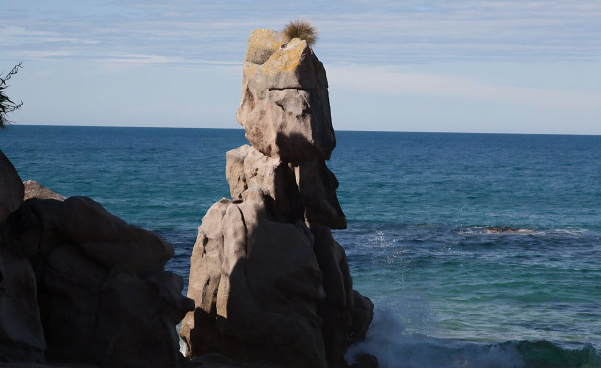 Janmaree tweet media