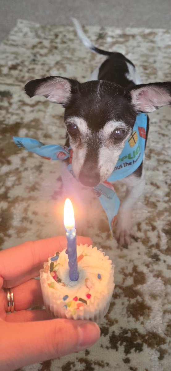 Kelly-Anne tweet media