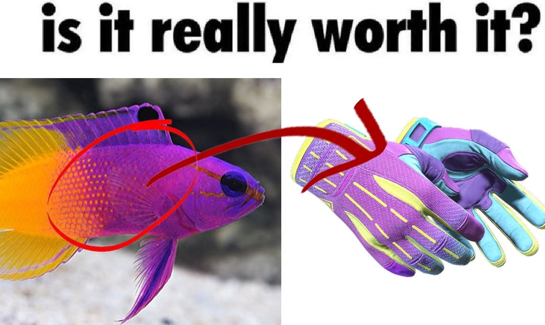 CSComps.gg tweet media