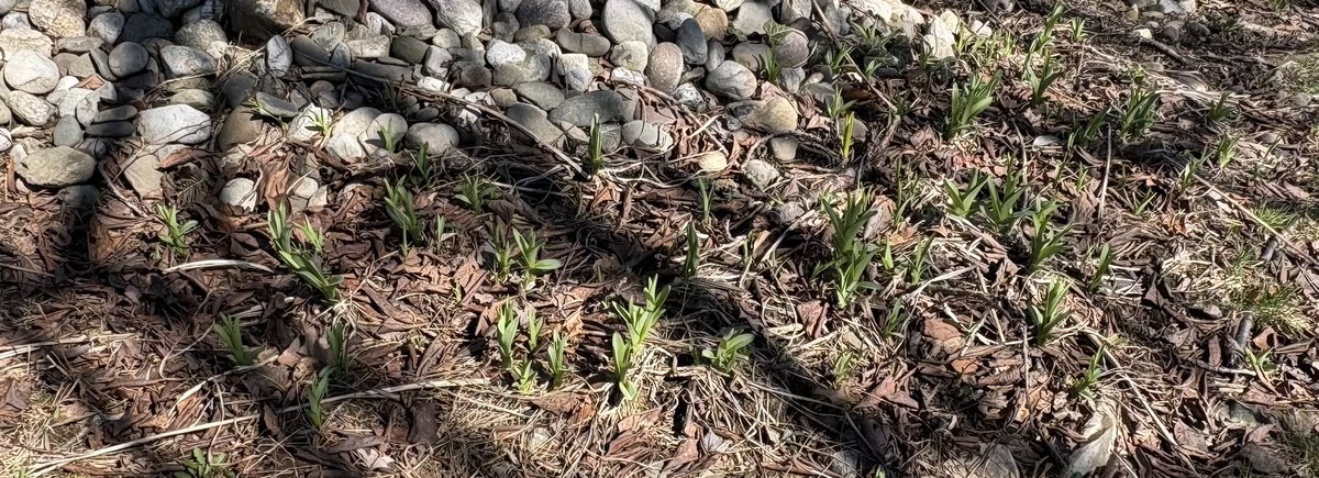 Danny Quimby tweet media