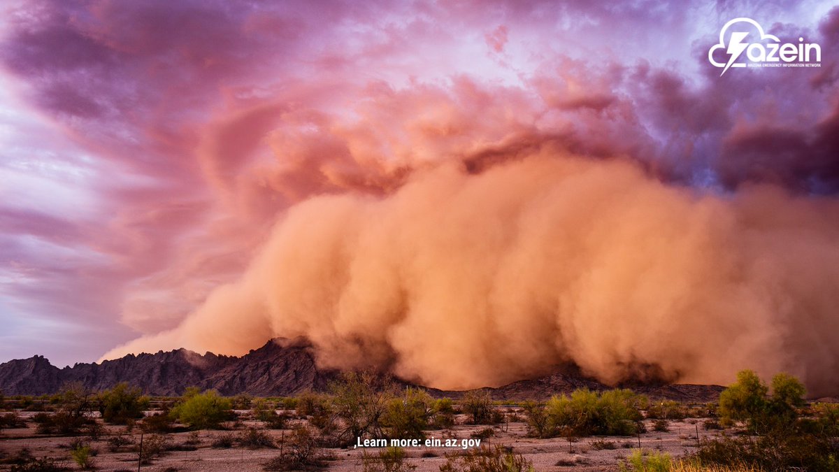 AzEIN 📢 tweet media