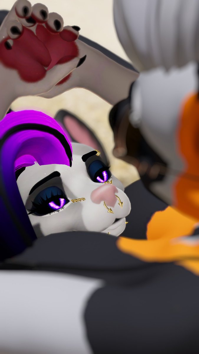 doberwoof ✨️ tweet media