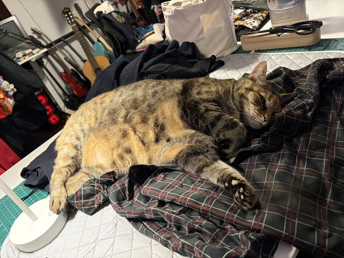 ❤️‍🔥Fire Walk with Bri ❤️‍🔥 tweet media