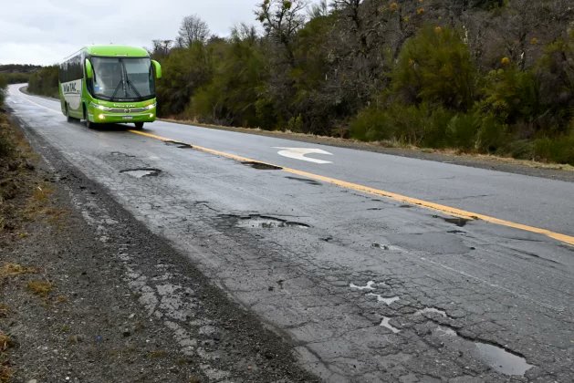 Estado de Alerta tweet media