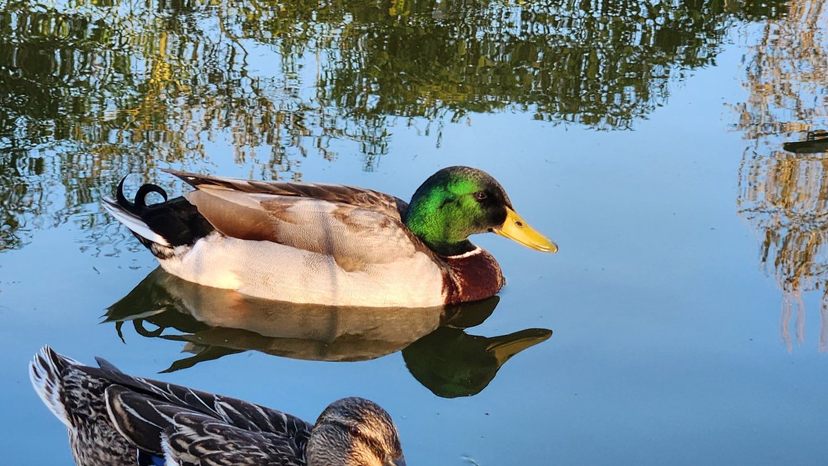 Vi 🏳️‍🌈 🏳️‍⚧️ tweet media