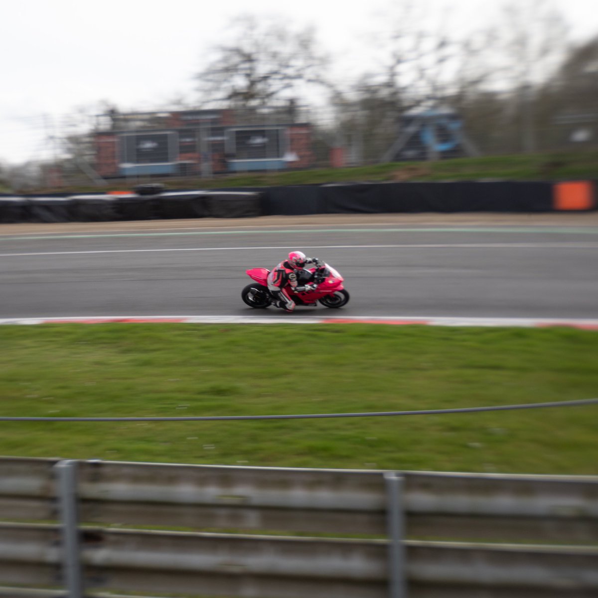 lydia¹⋆⁸¹ tweet media